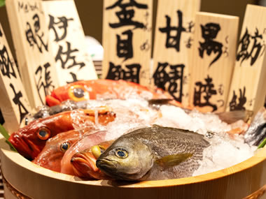  ���ܳ�������� �������ܲ� ���Ź 